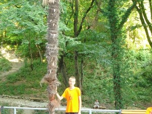 Песни солнца